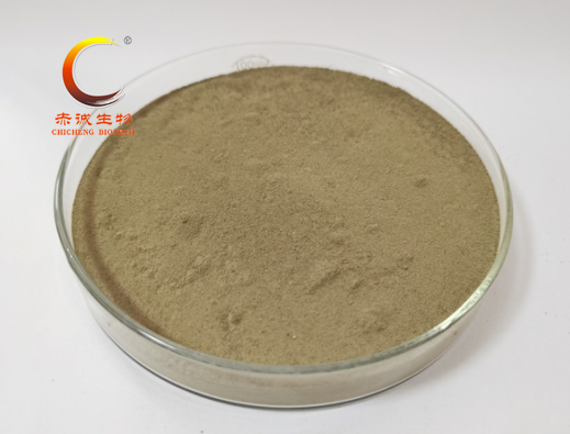 Ellagic acid 40%