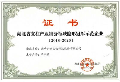 支柱產業細分領域隱形冠軍示范企業證書