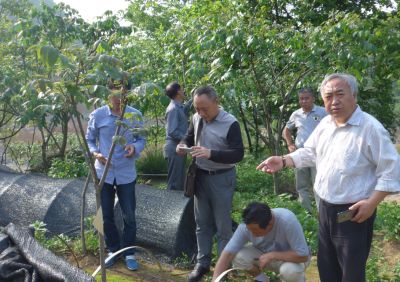 湖北省林科院 陳京元博士（右）指導基地建設