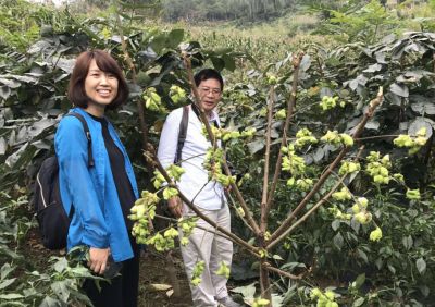 Professor Zhang Chuanxi from Zhejiang University (right) and Xu Feng from Beijing Forestry University guide the construction of the base