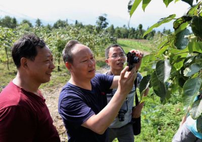 中國林科院資昆所陳曉鳴博士(中)考察基地